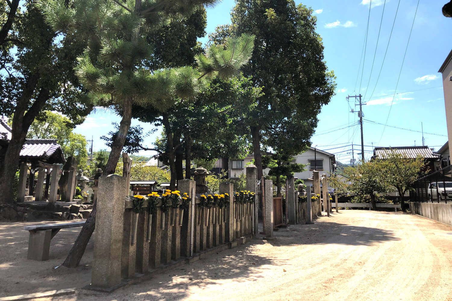 尾道・むかいしま 嚴島神社 令和二年 重陽の節句・菊花祭