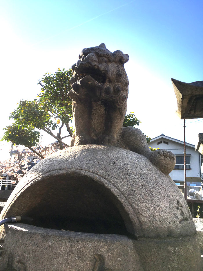 尾道・向島 嚴島神社 境内 手水の狛犬