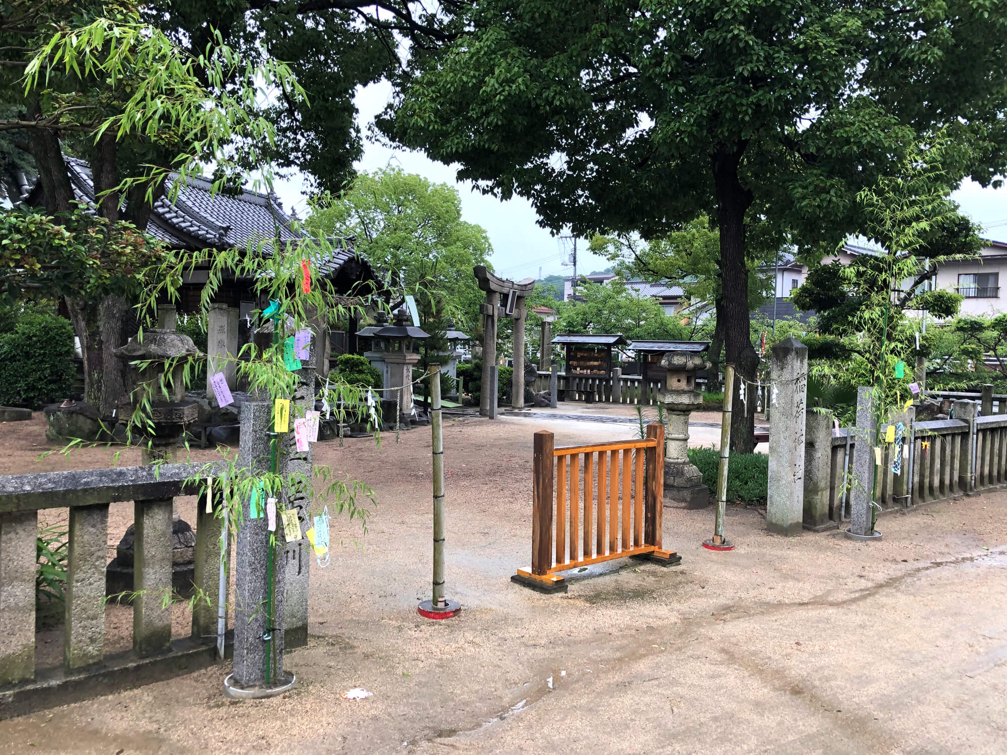 七夕の笹の写真 尾道・むかいしま 嚴島神社 七夕の笹の写真