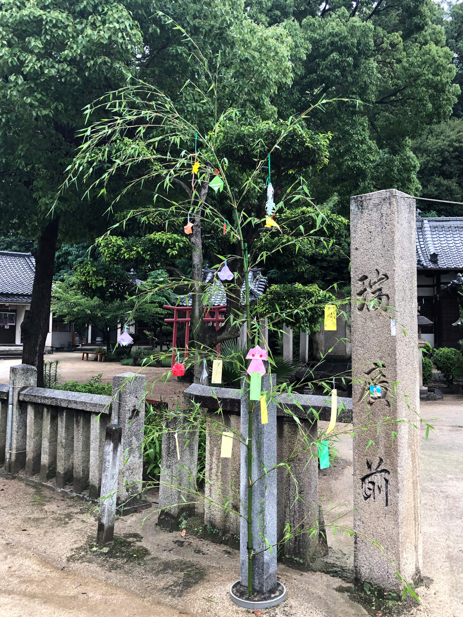 七夕の笹の写真 尾道・むかいしま 嚴島神社 七夕の笹の写真