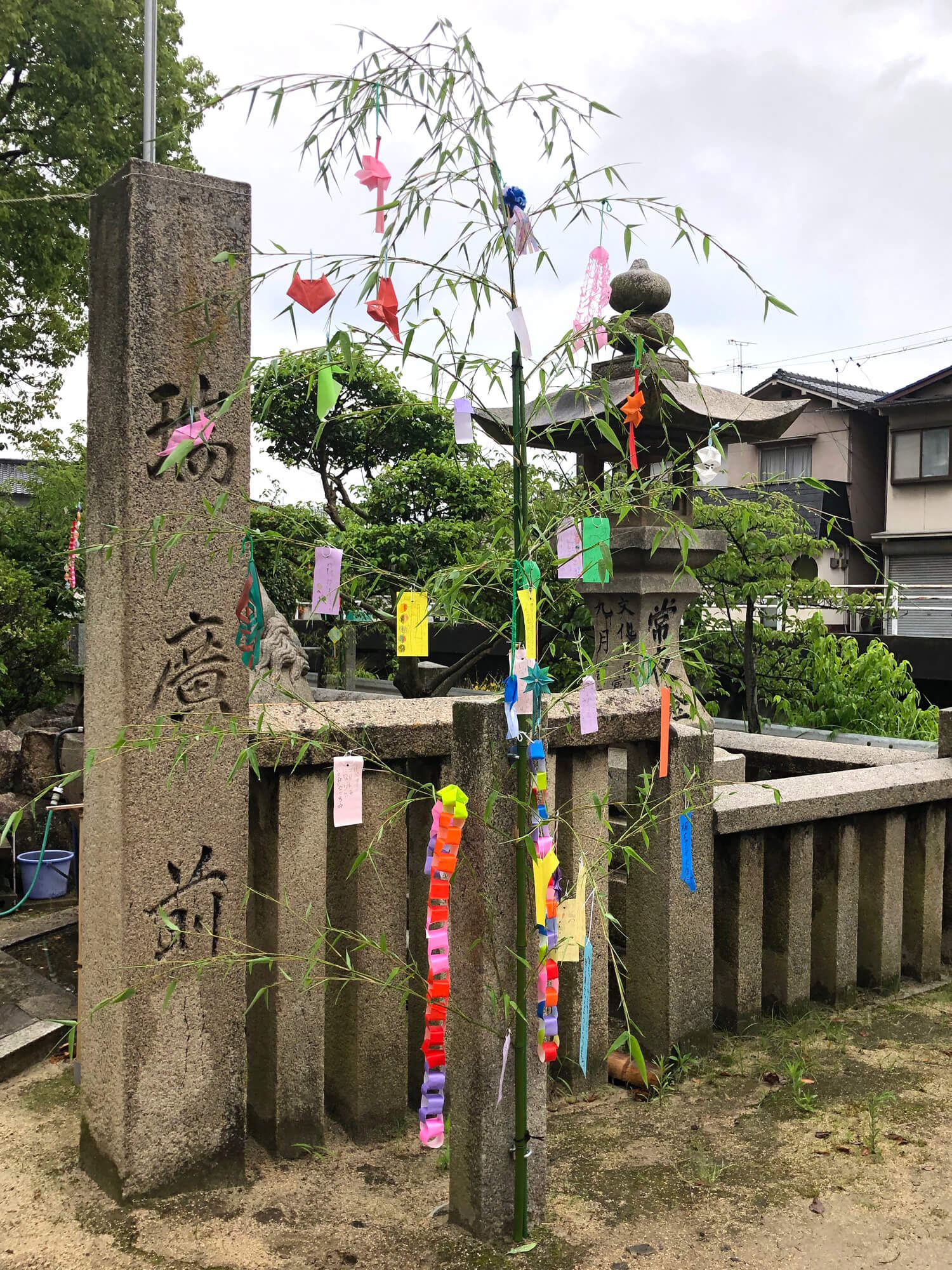 七夕の笹の写真 尾道・むかいしま 嚴島神社 七夕の笹の写真
