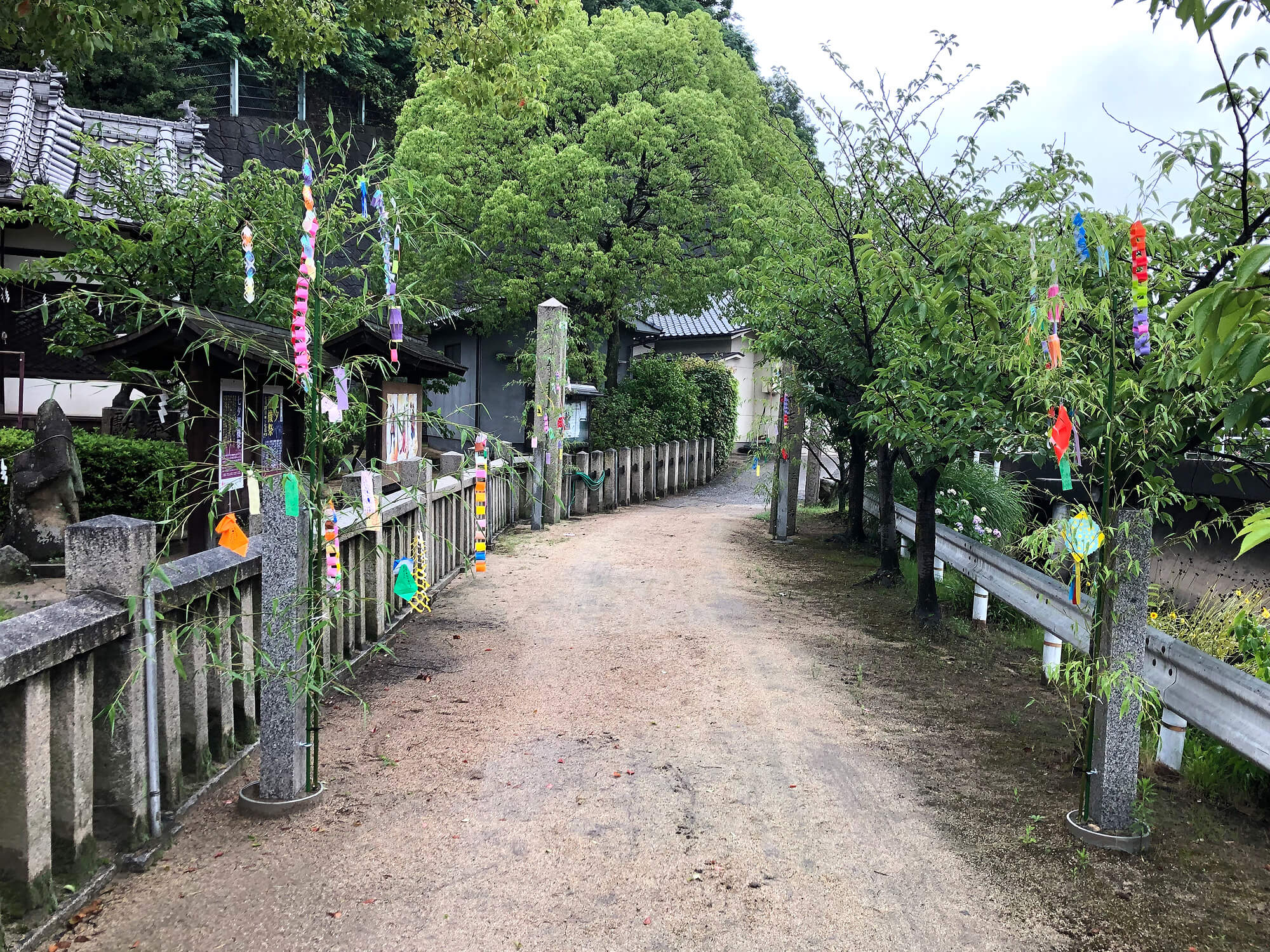 通路の七夕の笹 尾道・むかいしま 嚴島神社 通路の七夕の笹
